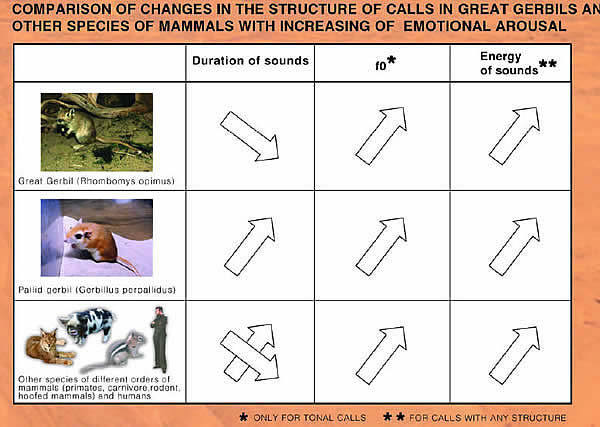 emotional arousal